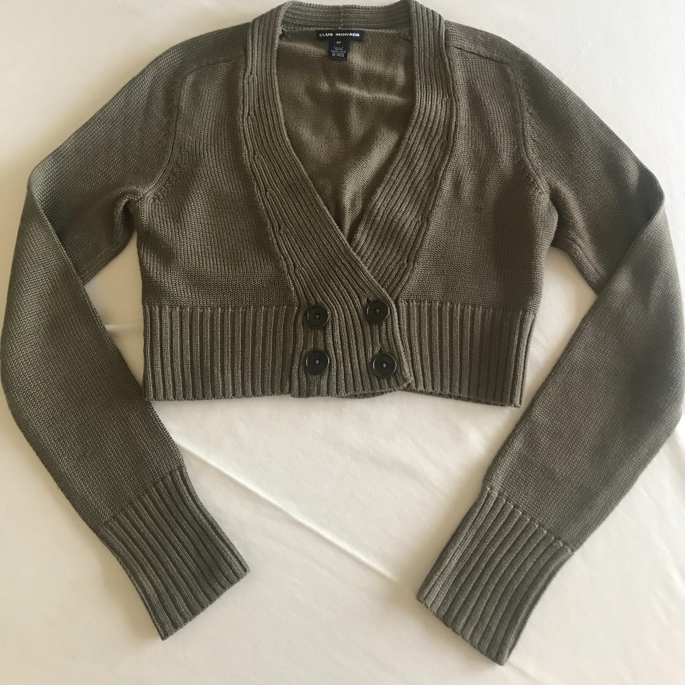 Club Monaco crop sweater
